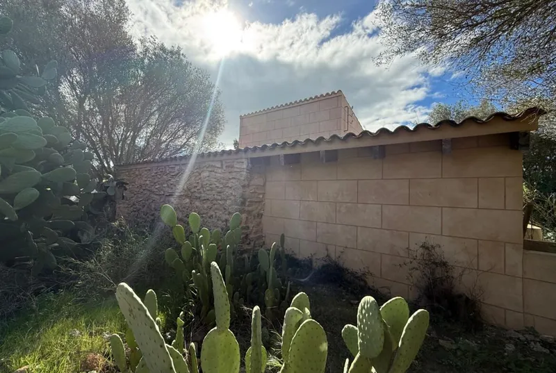 Rustic finca with cottage in Ses Salines — photo 10