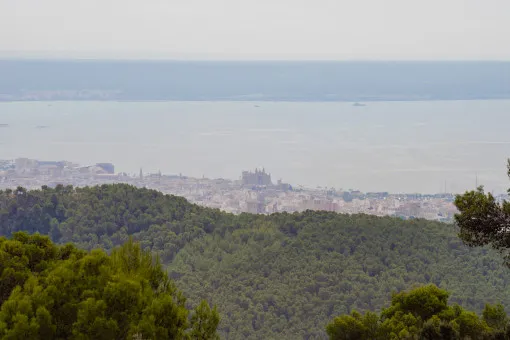 Esporles, large, stately finca in Esporles, in a prime location and with holiday rental license — photo 7