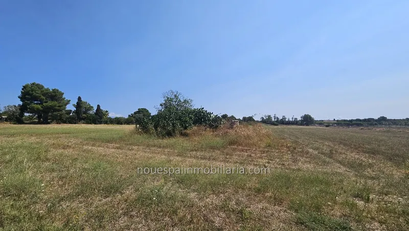 Rustic estate in Muro — photo 8