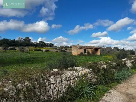 Plot of land - Llubí (Llubi), Plot Surface 14516m² — photo 1