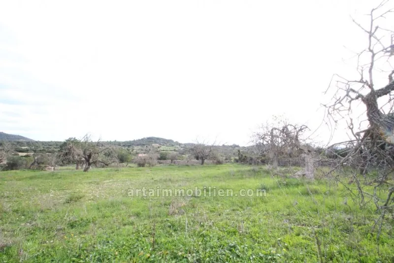 Rustic finca in Son Servera — photo 1