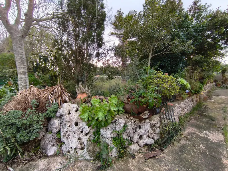 Discover this charming agricultural estate of four cuarteradas, located in a privileged setting with stunning views of the Tramuntana — photo 11