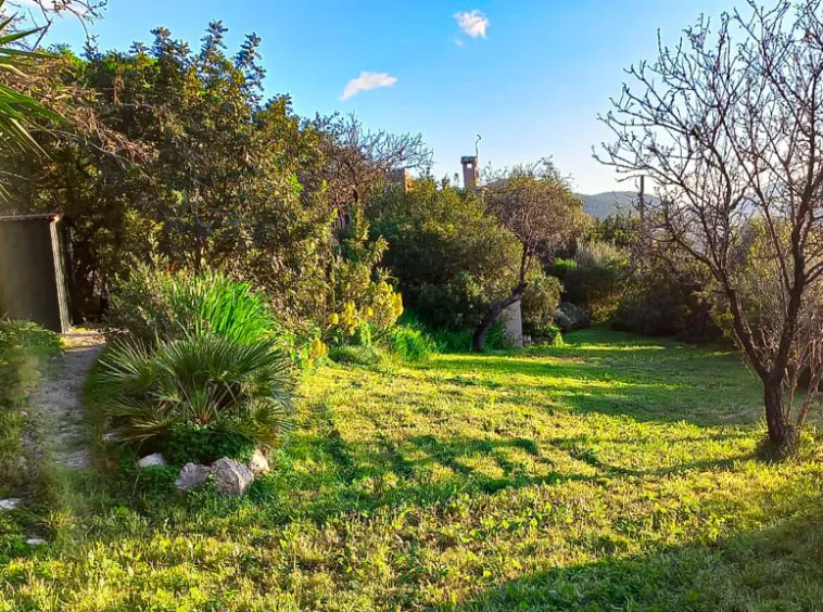 Ref. 2433C – Andratx – Beautiful village house with garden and pool — photo 8