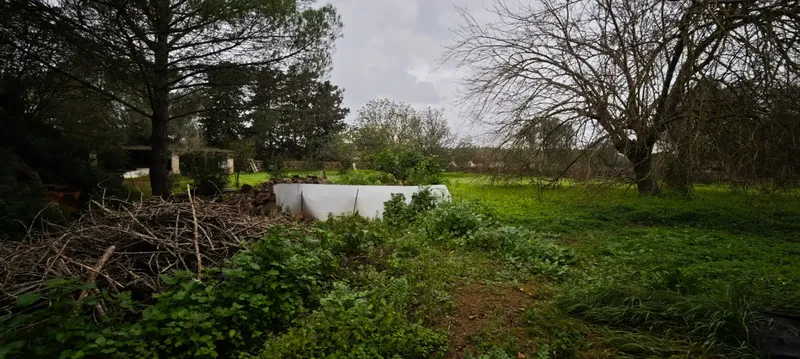 Rustic estate of 10,735 m² located in the municipality of Sencelles, accessed from the old road of Sineu. On the estate there is a house — photo 9