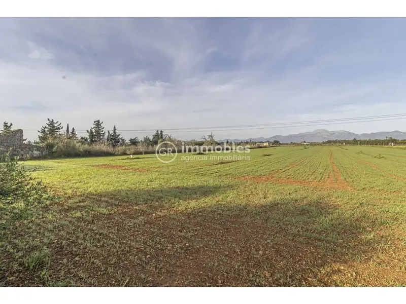 Rustic estate for sale of 14,186 m² with main agricultural use, located in a quiet and natural environment, less than 1 km from Muro, in direction — photo 1
