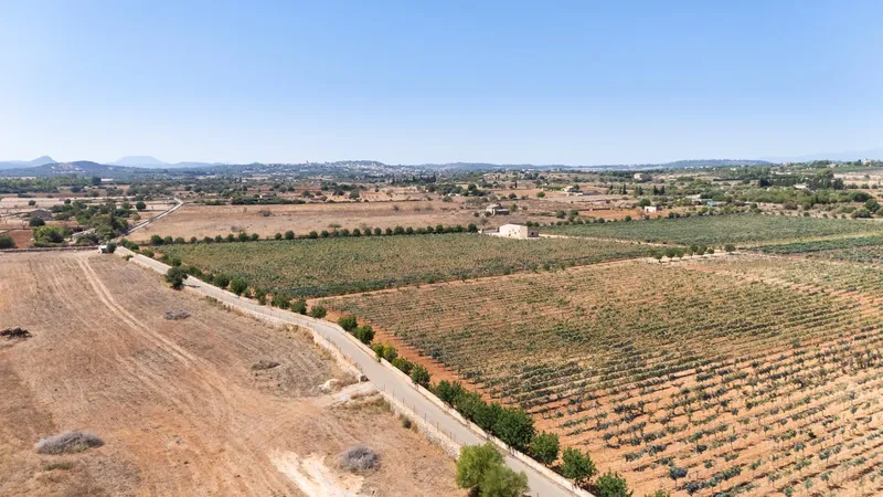 Sta. Margalida – Building plot with 14,174 m2 of land with approved project — photo 4