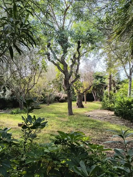 Exclusive chalet with large plot in the S'Iller Urbanization - Privacy and luxury in the north of Mallorca — photo 4