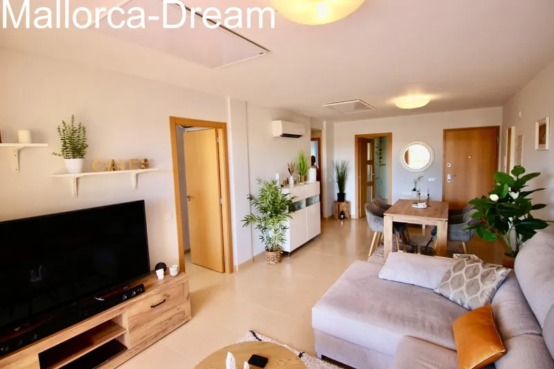Calas de Mallorca: A high-quality, modernised flat with a stunning view of the palm-lined pool, sunshine until the evening and a private parking space — photo 10