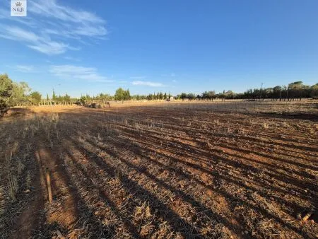 Rustic property in Muro, 140 m² built, 18,400 m² plot, 1 room, 1 bathroom — photo 8