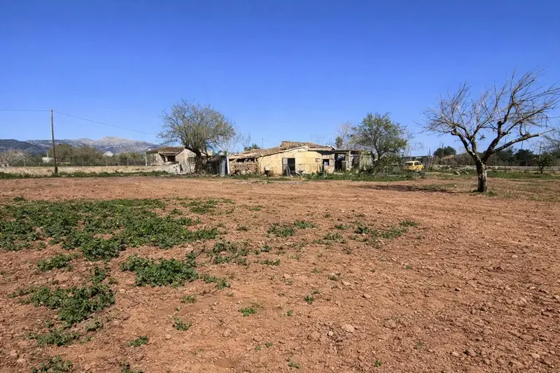 Rustic Finca with Potential in Inca - Unique Opportunity — photo 1