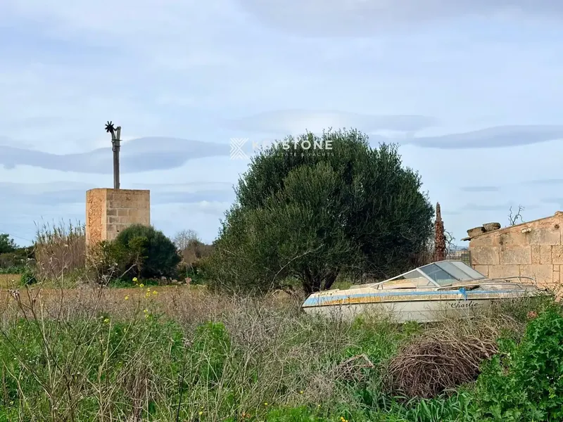 Approved technical project included. There is an approved project for the renovation of the existing agricultural buildings, which represents a saving — photo 5