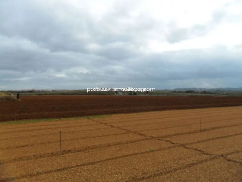 Rural or Farmhouse in Llubí, Province of Balearic Islands — photo 10