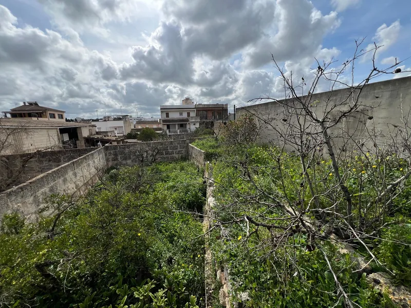 Large Plot with Building Potential in Muro — photo 4