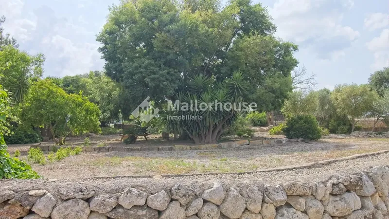 Mallorcan estate with 900 m2 built on 70,000 m2 plot — photo 4