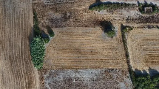 Rustic Land - Maria de la Salut — photo 8