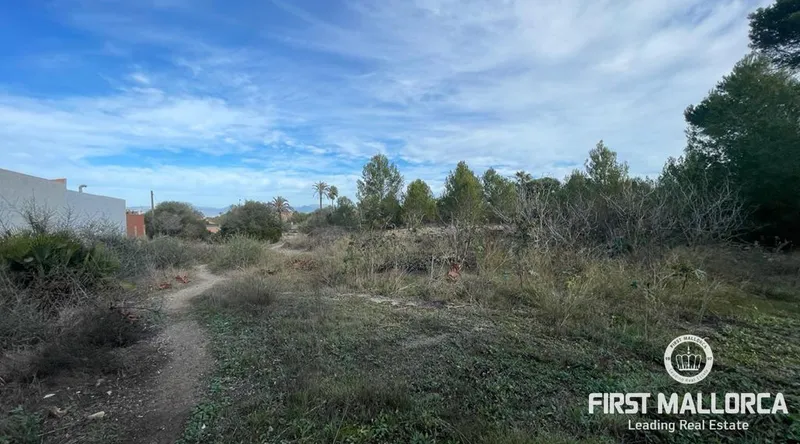 Real estate picture 0 Ref. No. 78287 — photo 4