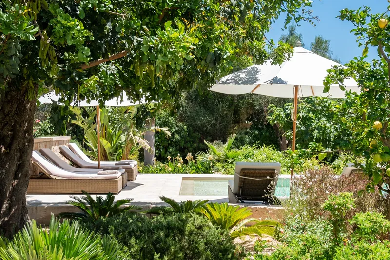Design village house with guest apartment and finca charm in Ses Salines — photo 3