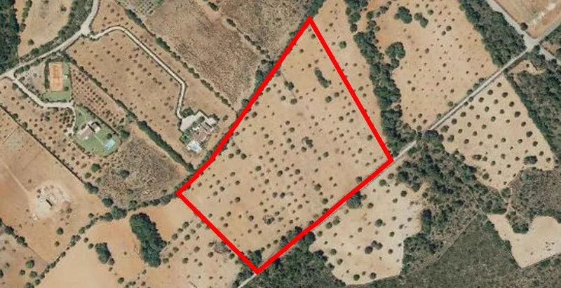 Plot of 42,069 m² with project for house with pool in Manacor — photo 12