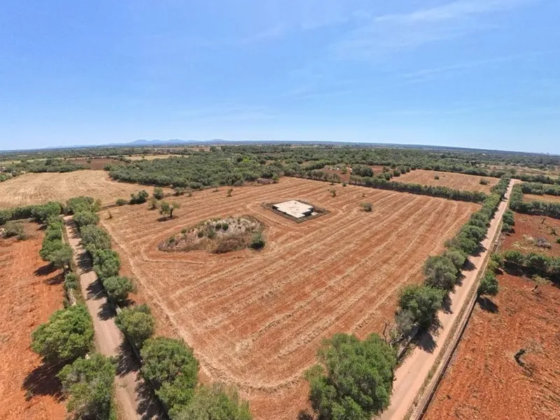 Land in Campos, Province of Balearic Islands — photo 1