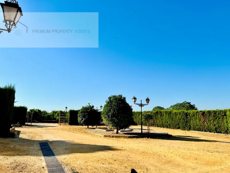 Farm 14 Bedrooms — photo 8