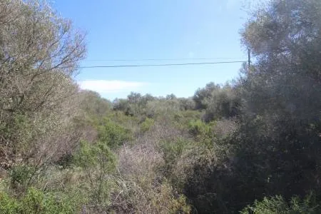 Rustic land - Llucmajor (Cala Pi-Vallgornera), plot surface 100,158 m², distance to the sea 3 km — photo 12