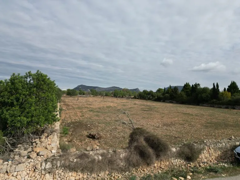 Finca in Llucmajor — photo 4