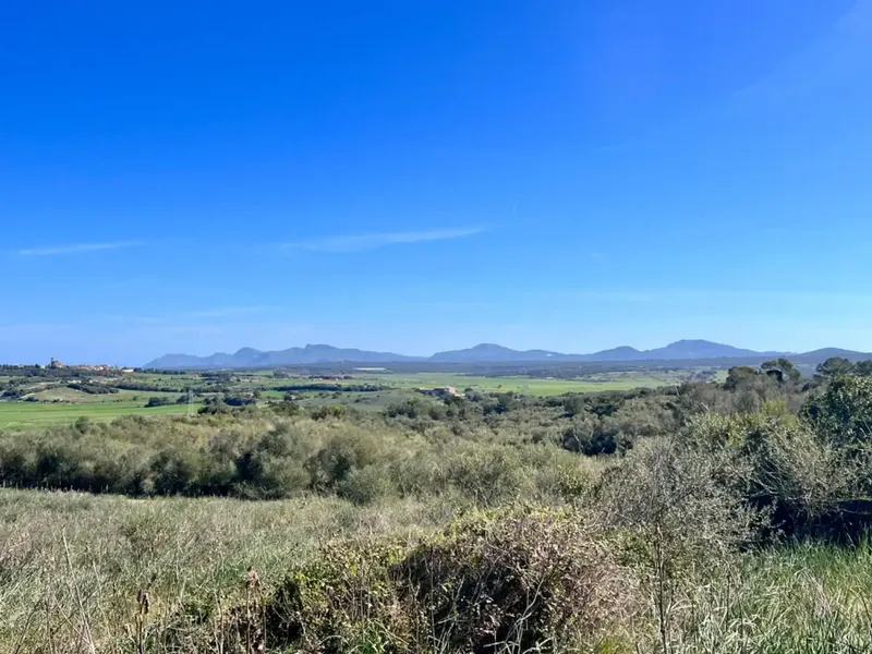 We are in Petra, in the middle of Pla de Mallorca, in a privileged setting with panoramic views, views of Ariany, Maria de la Salut — photo 9