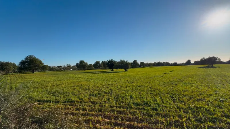 Beautiful property in a good location! — photo 5