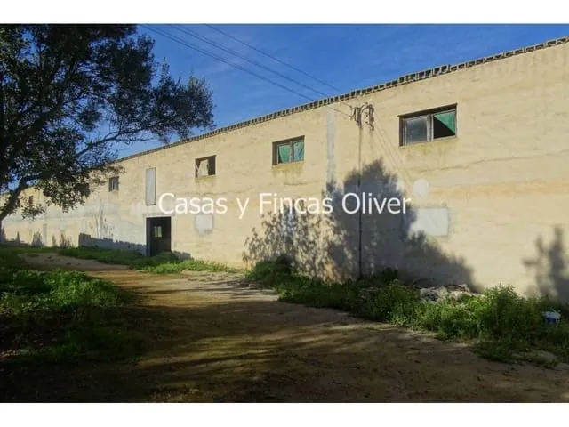 Finca/Country House for sale in Ariany, Mallorca — photo 3