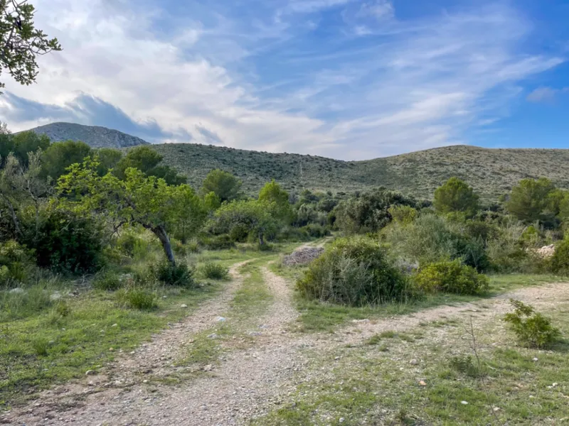 Exceptional buildable rustic plot with sea views — photo 5