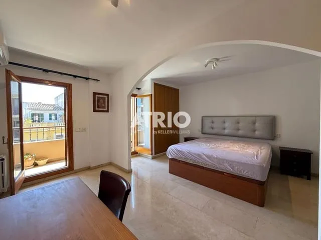Flat for rent in Arxiduc, Palma de Mallorca — photo 5