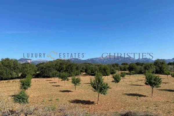 Building plot with finca project near Binissalem — photo 1