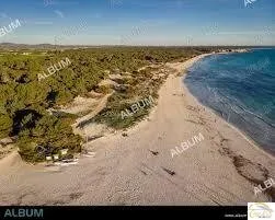 Exclusive Newly Built Mediterranean Finca with Saltwater Pool Near Es Trenc — photo 7