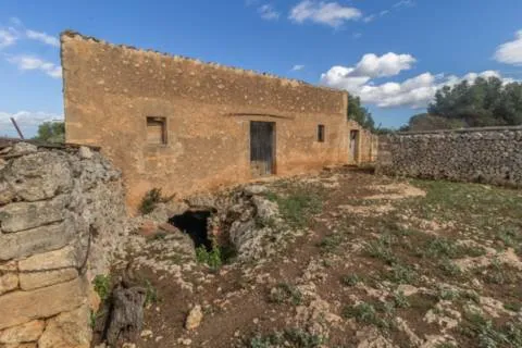 House — photo 6