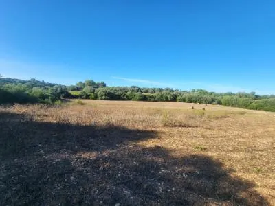 Rustic Land - Manacor (Manacor Centro), Plot Surface 14300m², Distance to the sea 12 Km. — photo 3
