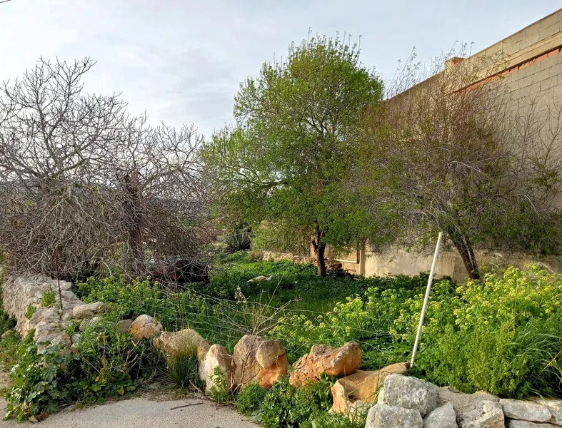 Exclusive plot with sea views and great development potential in Alquería Blanca — photo 8