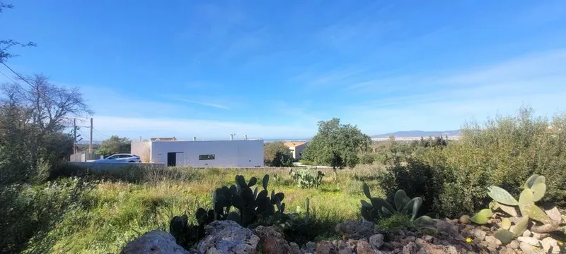 Land in Marratxí, Province of Balearic Islands — photo 8