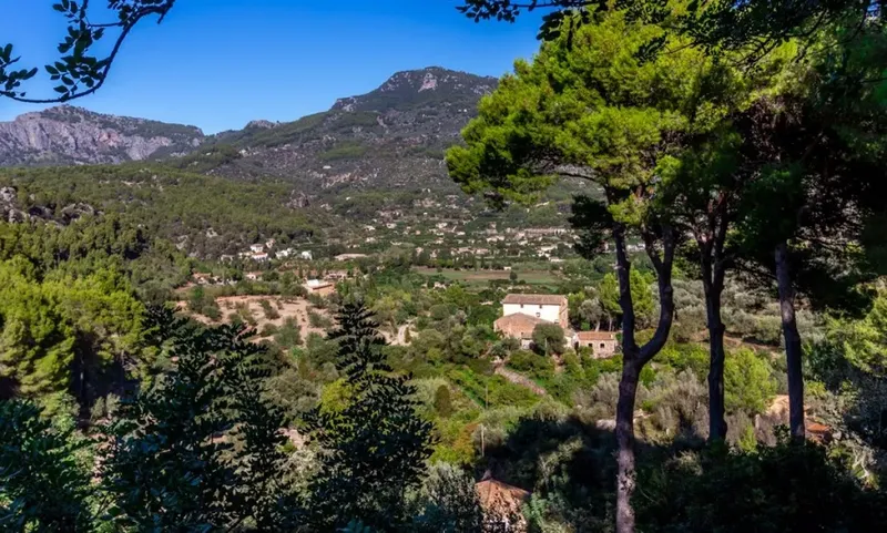 Rustic Finca in Soller - Deia Road — photo 1