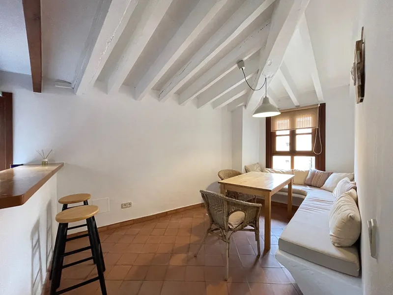 Penthouse with private terrace in the La Lonja area, Old Town of Palma — photo 10