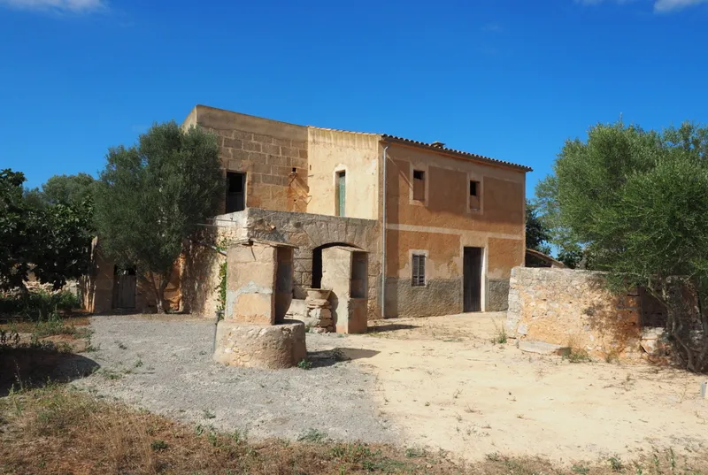 Rustic finca to renovate in San Lorenzo — photo 1