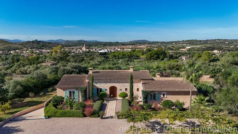 16,156m² finca with 8 rooms, pool and terrace for sale — photo 4