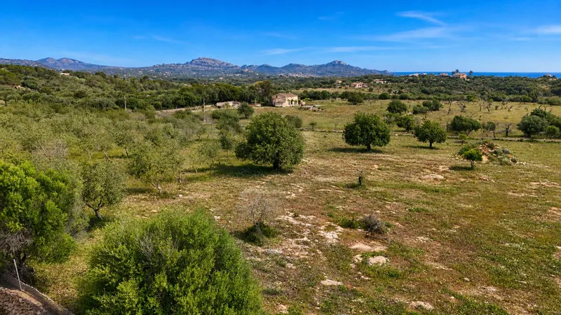 Unique dream finca with sea views and project to ... — photo 3