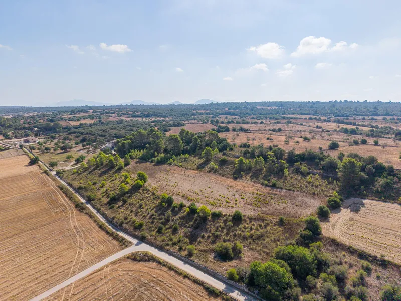 Buildable plot of 29,547 m² with open views in Petra — photo 5