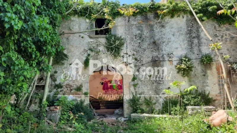 House in Binissalem — photo 2