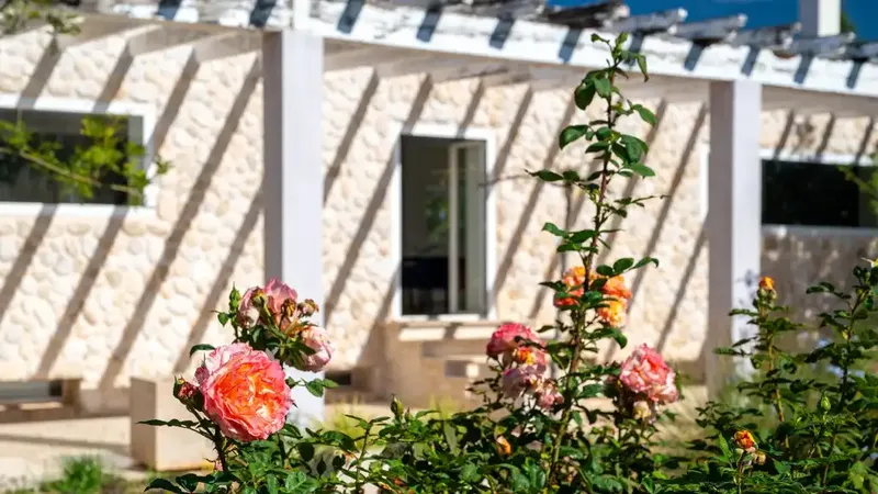 Discover a unique refuge in the prestigious setting of Binissalem, a property that redefines the concept of home by merging architecture — photo 8