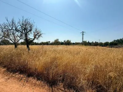 Rustic Land - Consell — photo 3