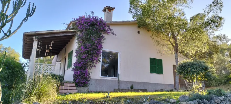 Charming finca with pool in Sant Joan — photo 3