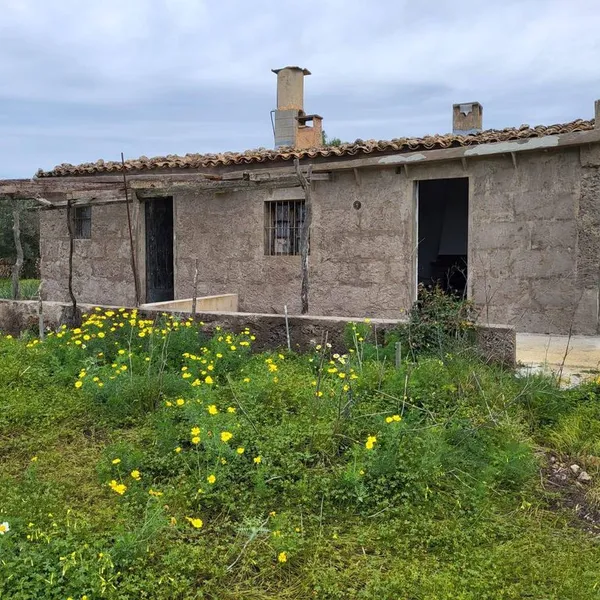 Land in Llucmajor, Province of Balearic Islands — photo 3