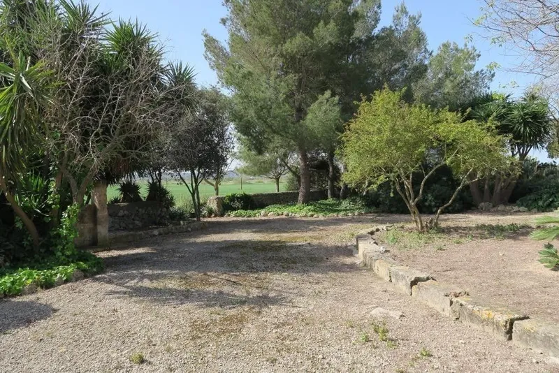 Luxury home in Ariany, Province of Balearic Islands — photo 6