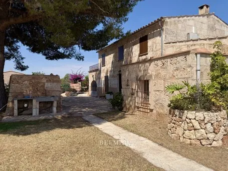 Rustic finca with an idyllic garden and pool between Son Carrio and Porto Cristo — photo 9